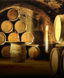 Bodegas